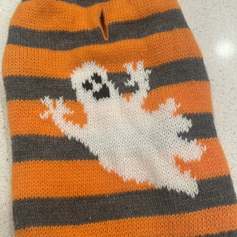 Cat Halloween outfit